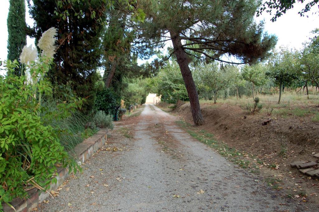 فيلا Casa Burraia Abbadia di Montepulciano الغرفة الصورة