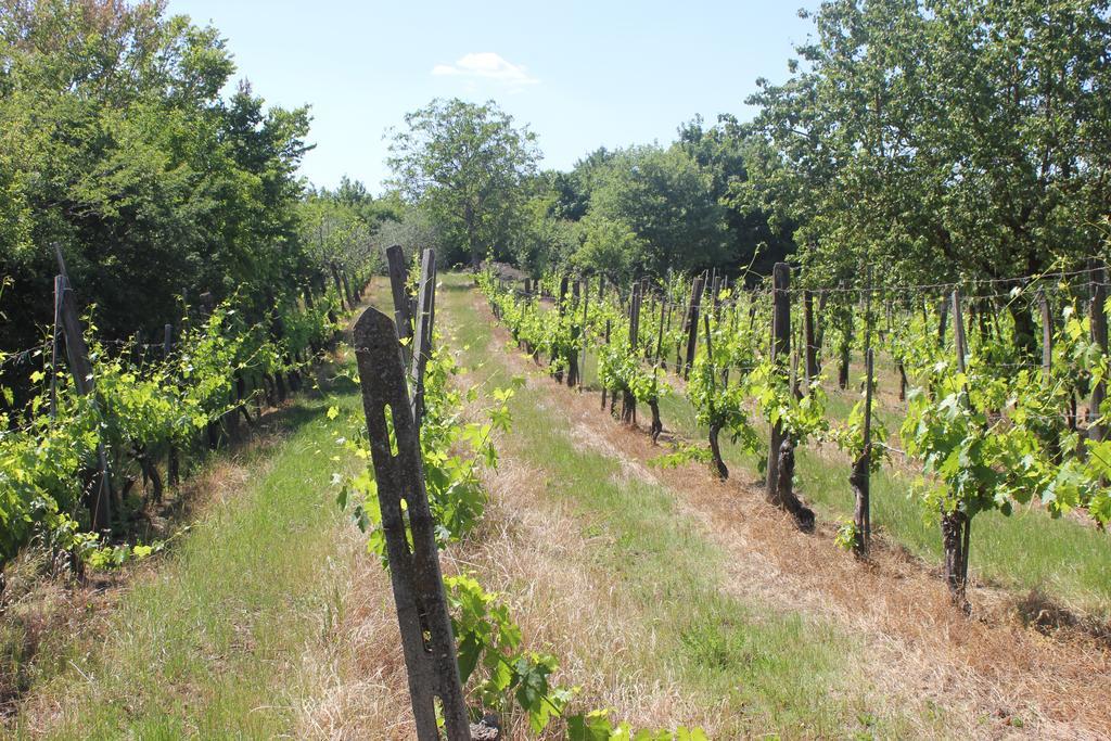 فيلا Casa Burraia Abbadia di Montepulciano المظهر الخارجي الصورة