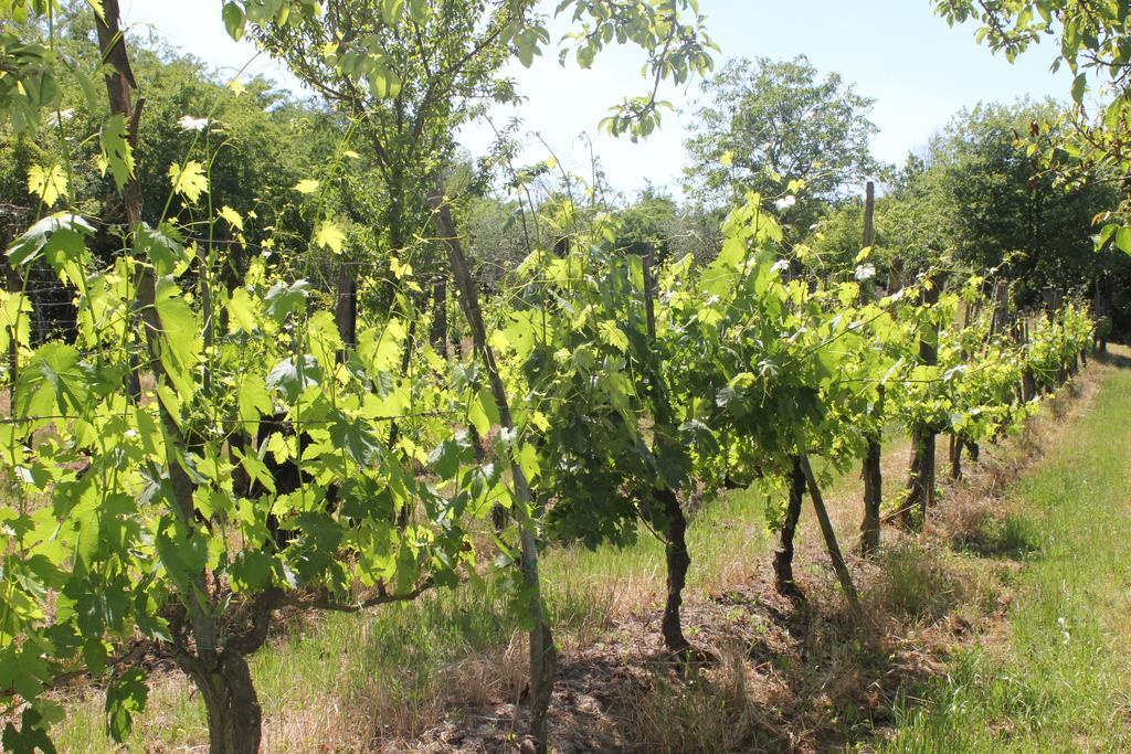 فيلا Casa Burraia Abbadia di Montepulciano المظهر الخارجي الصورة