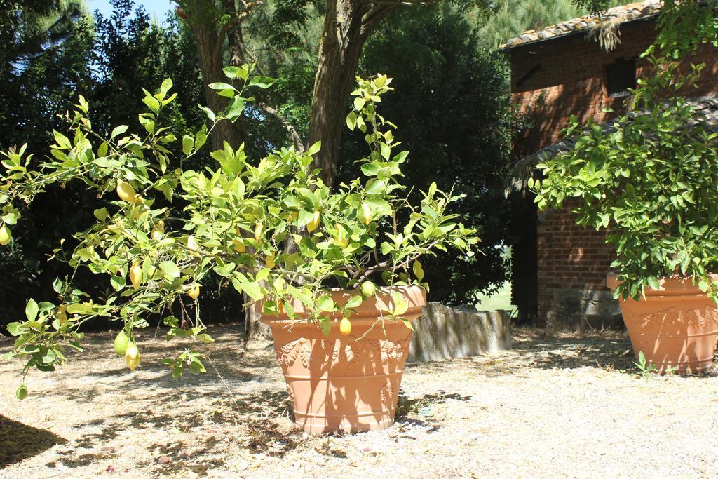 فيلا Casa Burraia Abbadia di Montepulciano المظهر الخارجي الصورة