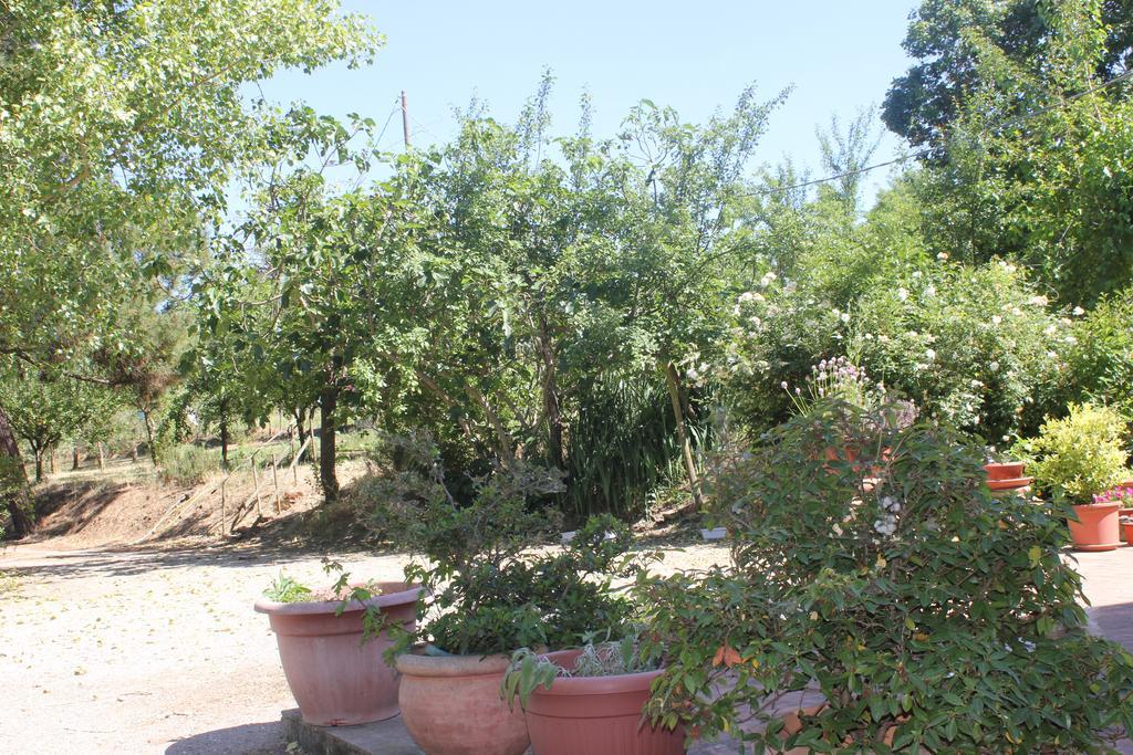 فيلا Casa Burraia Abbadia di Montepulciano المظهر الخارجي الصورة