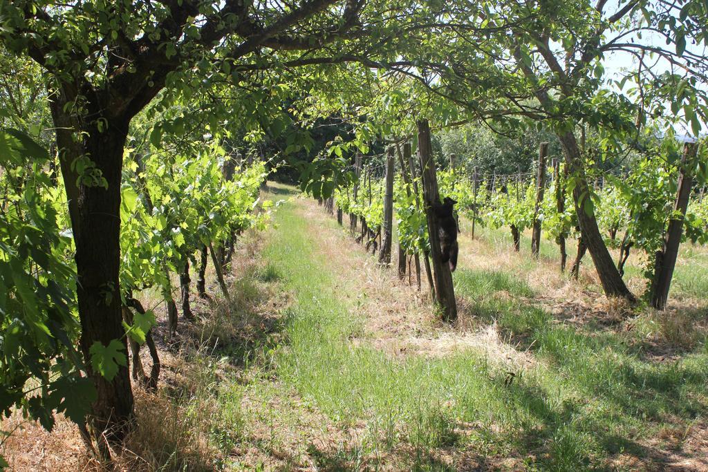 فيلا Casa Burraia Abbadia di Montepulciano المظهر الخارجي الصورة